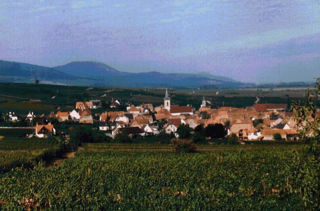 Gite Et Chambres D'Hotes, L'Erable Бебльонайм Екстериор снимка